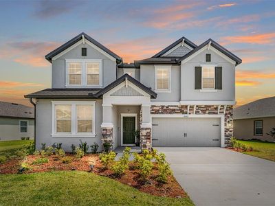30862 Parrot Reef Ct Wesley Chapel FL 33545 MLS #T3437052 Zillow