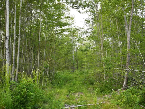 K Parcel Rd, Greenbush, MI 48738