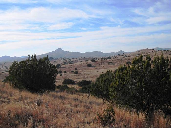 Top of Hill