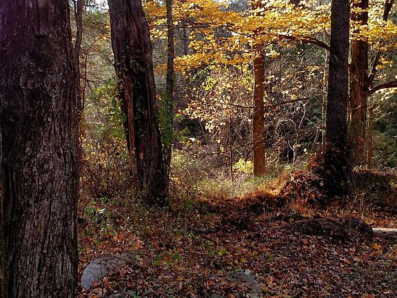 2nd image of Route 447