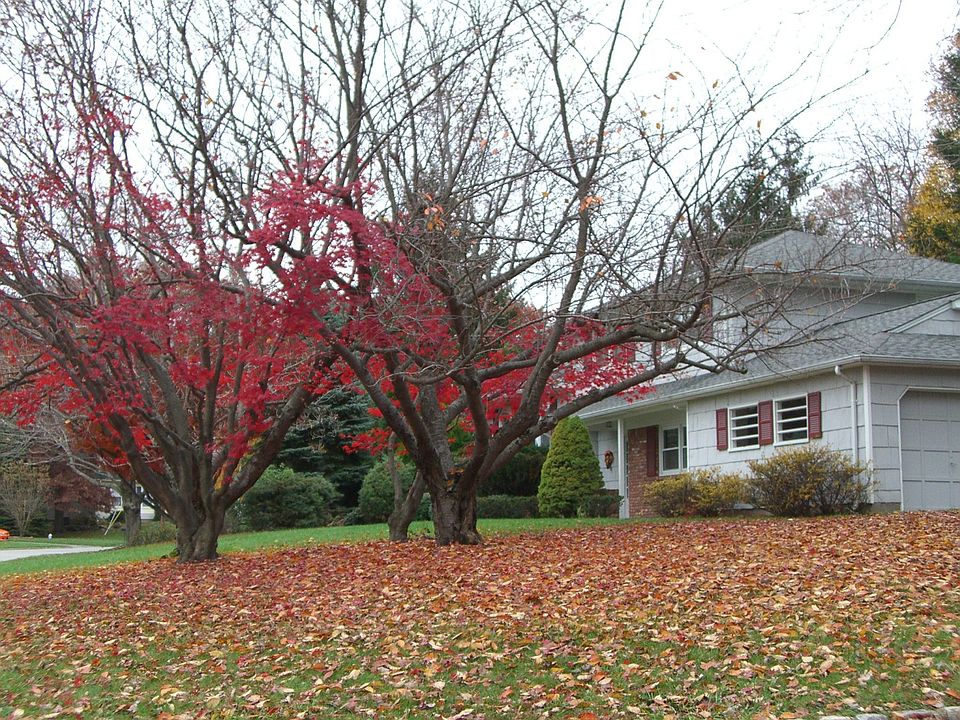 Romantic Autumn View