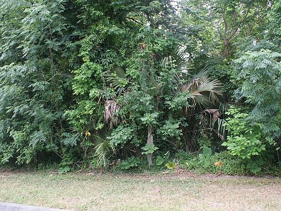 2nd image of 316 Desoto Ave