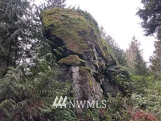 0 NKA Spotted Owl Lane photo 1