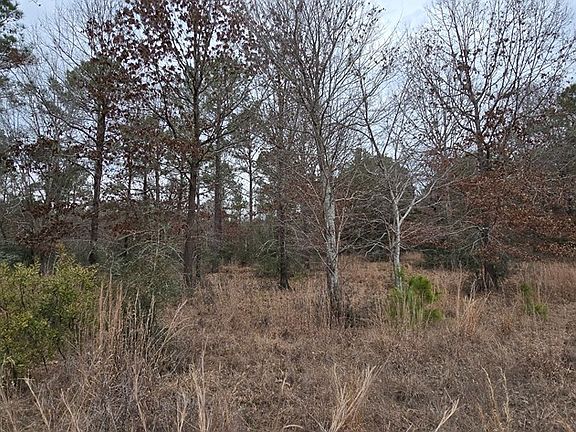 4th image of Pidn 51641 County Rd #222