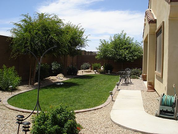 Great Backyard