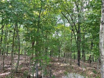 26 N Lewes Ln, Bella Vista, AR, 72714