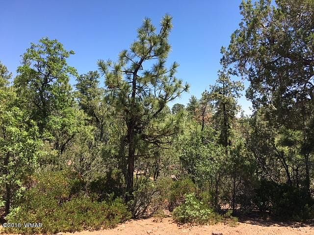 2nd image of 3120 W Snowberry Loop