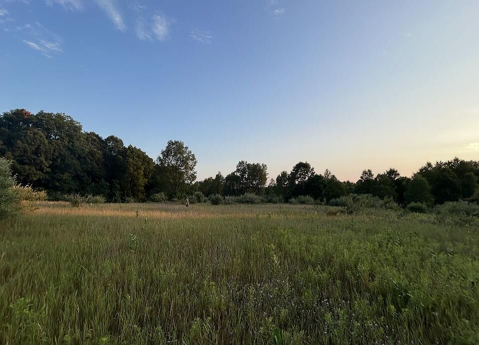 1st image of V/l E Pierce Rd