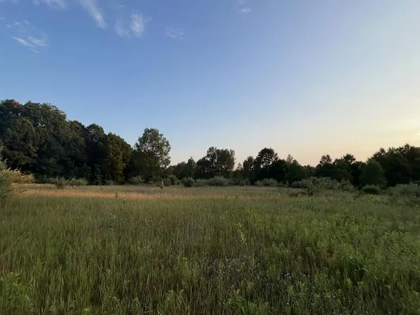 V/l E Pierce Rd, Shelby, MI 49455