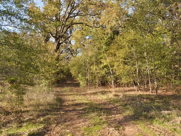 Highway 11, Mount Pleasant, TX 75455