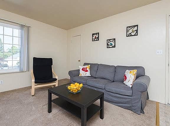 Large 2 bedroom apartment with spacious living quarters close to downtown Mt View