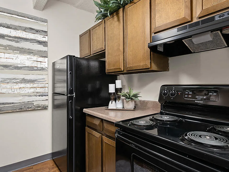 La Vida Buena Apartments — Photo 3