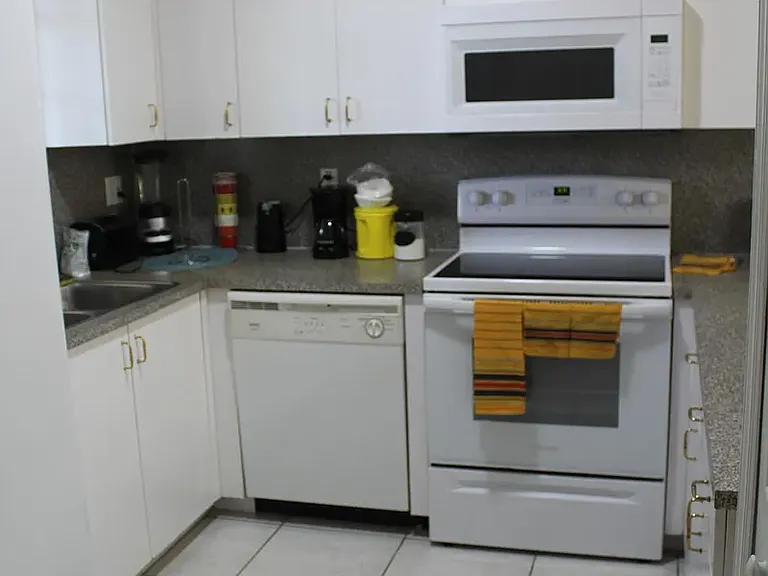 The dishwasher, microwave, oven, refrigerator are all electric and included.