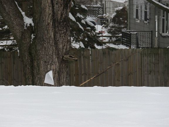 4th image of 150 Jermaine St