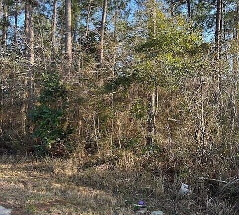 2nd image of Petunia Rd Lot 93