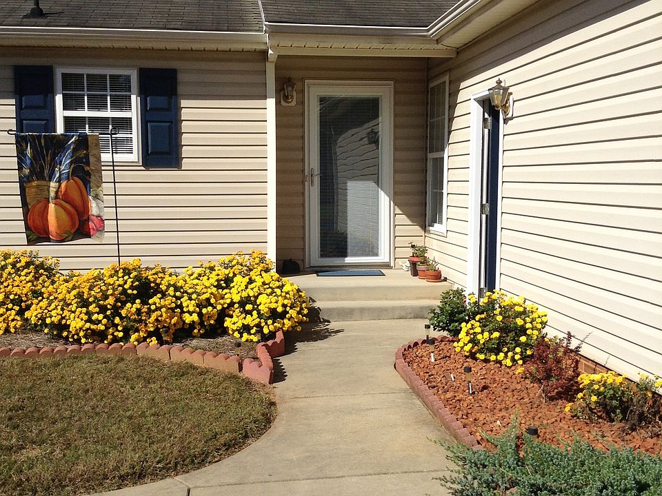 Most recent - Fall mums