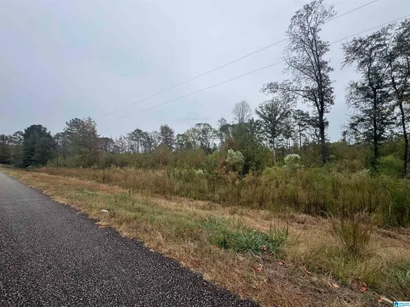 County Road 104, Roanoke, AL 36274