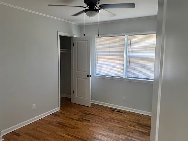236 Spruce Dr — Photo 15