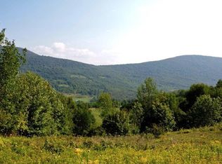 1684 Vega Mountain Rd, Denver, NY 12421