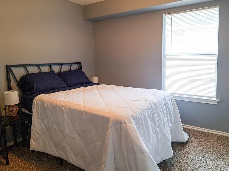 6 Scenic Brook Ct — Photo 20