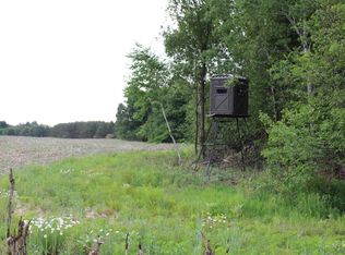 605 S Cook Ave, Harrison, MI 48625