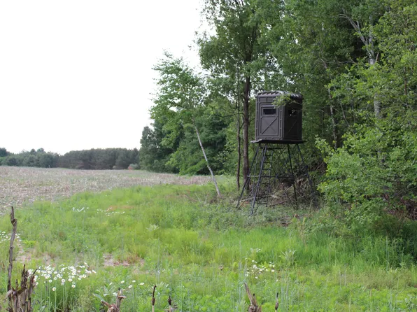 605 S Cook Ave, Harrison, MI 48625