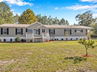 315 Horsetail Ave, Middleburg, FL 32068