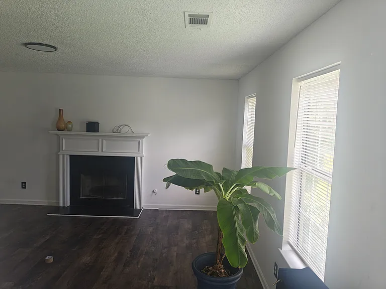 3364 Peach Bud Ln — Photo 6