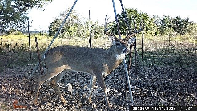1st image of 2401 County Road 382
