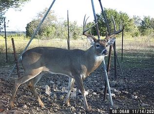 2401 County Road 382, Carlton, TX 76436