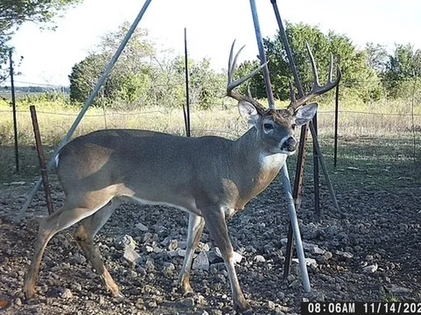 2401 County Road 382, Carlton, TX 76436