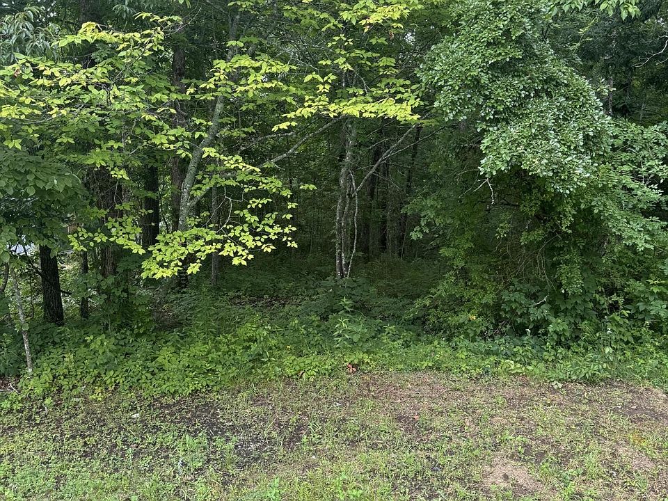 2nd image of 0 Timothy Dr