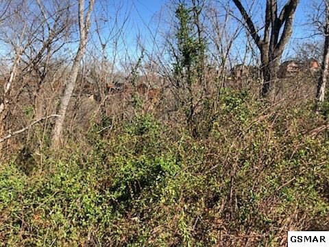 4th image of 672 Stockton Dr