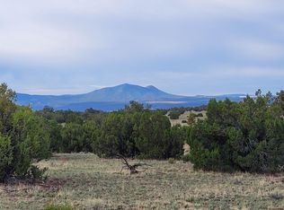 Indian Springs Rd, Quemado, NM 87829