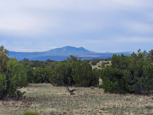 Indian Springs Rd, Quemado, NM 87829