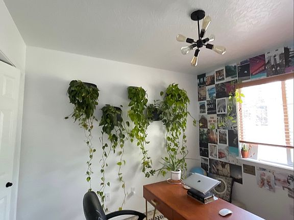 Spare Bedroom/Office