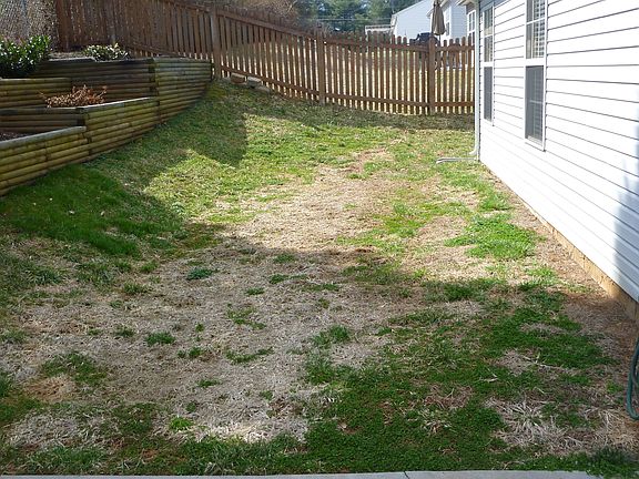 Read Yard
