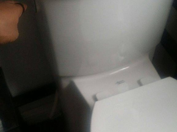 hands free flushing toilet