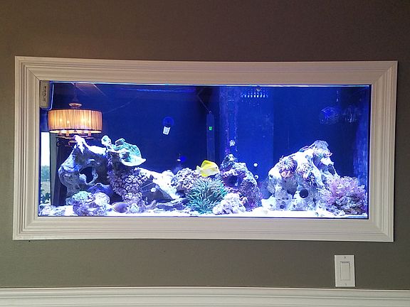 Fish tank