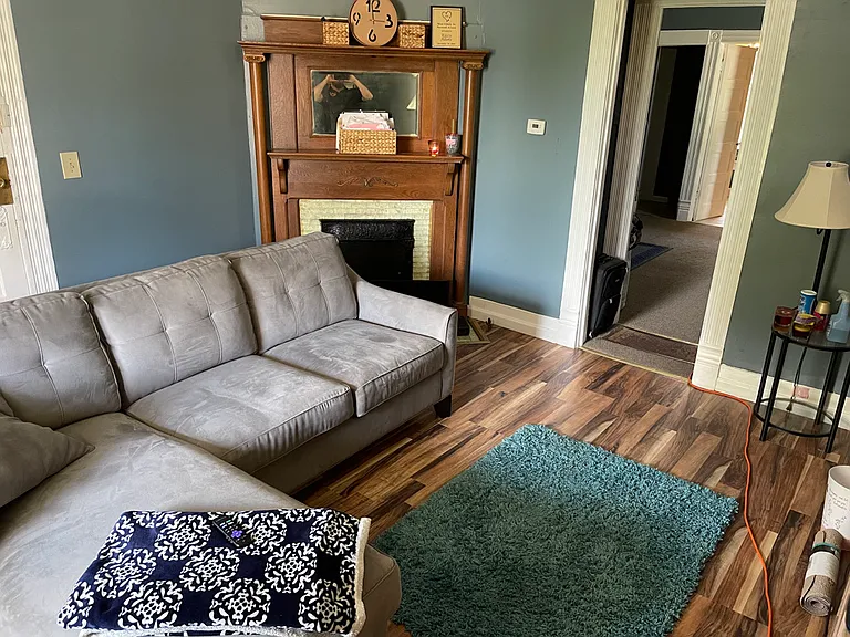 Main Living Area, new LVP, fireplace for decoration