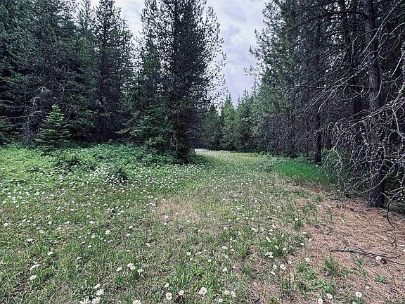 2nd image of 58 Bugling Elk Ln