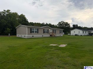 1110 Gwen Dr, Hamer, SC 29547