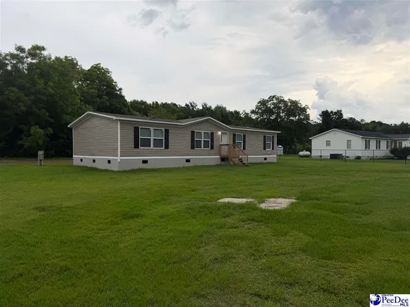 1110 Gwen Dr, Hamer, SC 29547