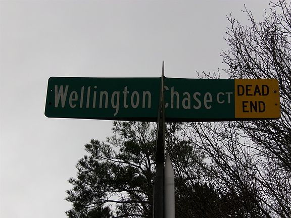 5th image of 6571 Wellington Chase Ct