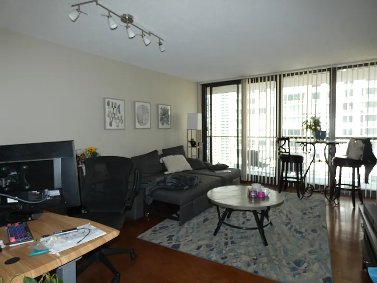 10 E Ontario St #1710 — Photo 14