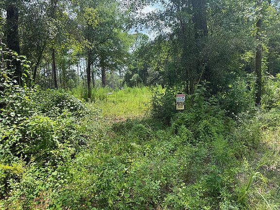 3rd image of 1015 Plantation Ln
