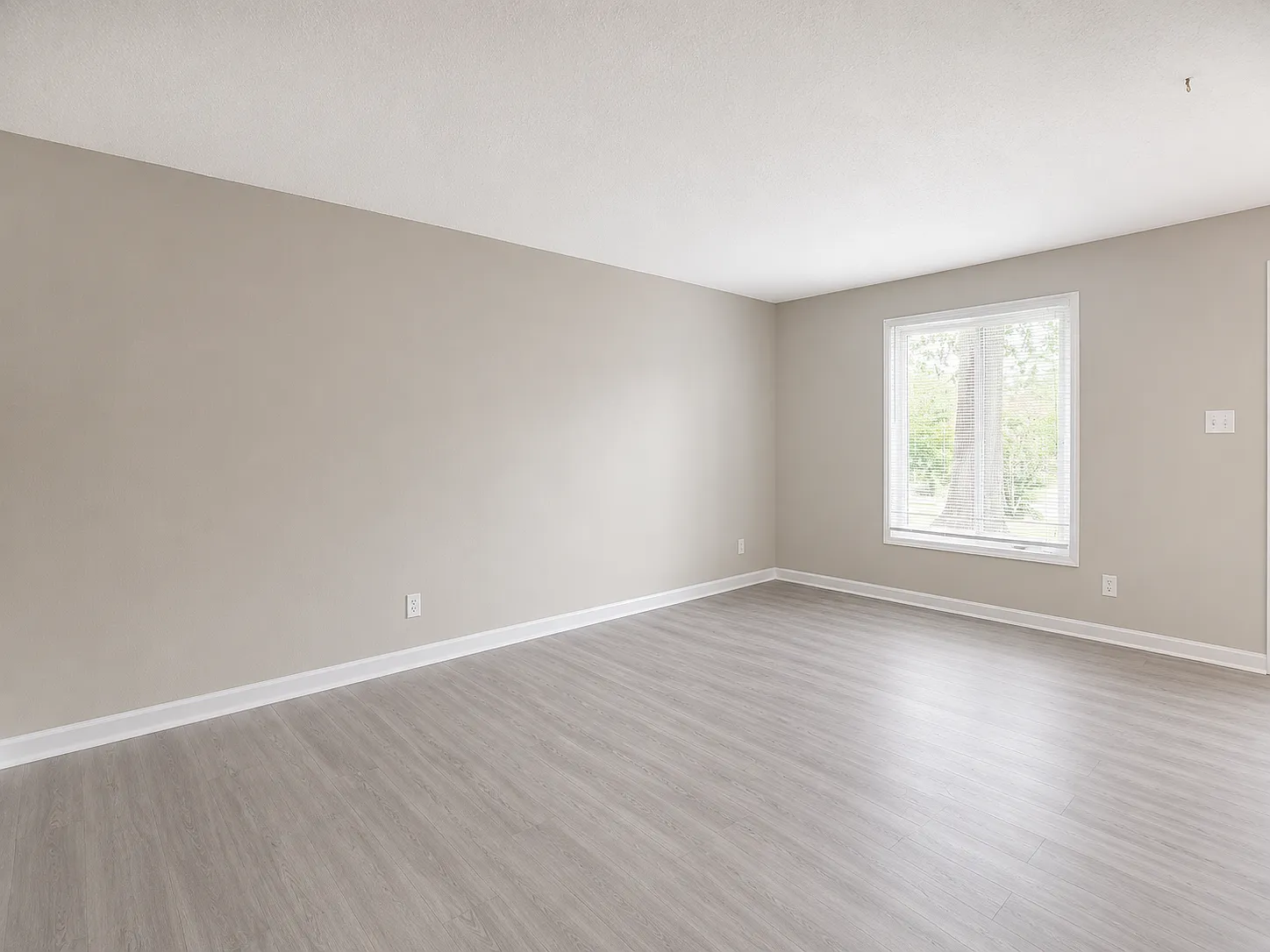 28210 Housing Opportunity — Photo 4