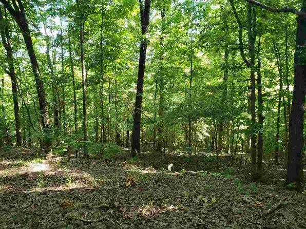 L 11 #B5, Cherokee Village, AR 72529