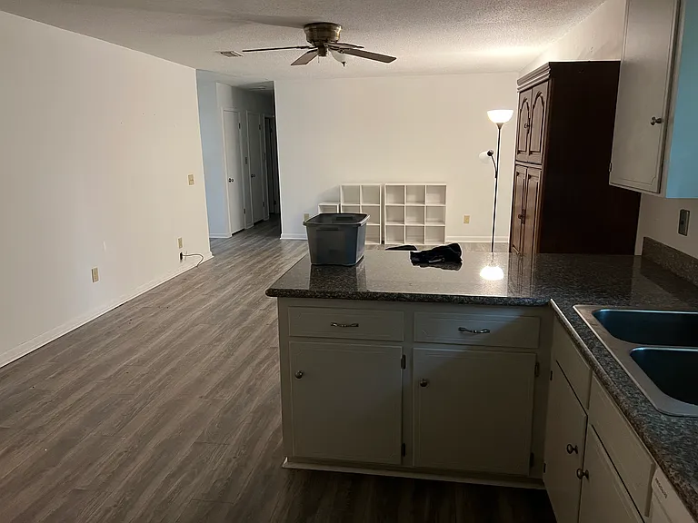 3960 Renoir St — Photo 13