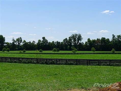 Beautiful views looking out your back door!